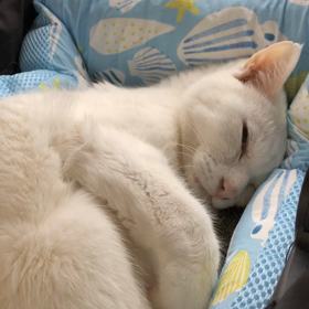 2023/05/08の画像
