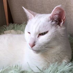 2024/04/13の画像