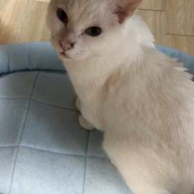 ただ　よんだだけ？  　え？の画像