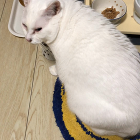 せつぶんの画像