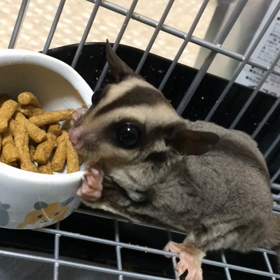 動画☆の画像