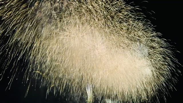【足立の花火】70万人の大混雑！3年ぶりのリベンジ！初めて有料席で見た結果。の記事動画