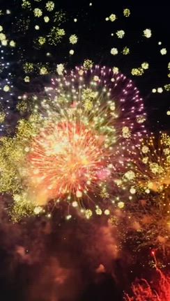 【足立の花火】70万人の大混雑！3年ぶりのリベンジ！初めて有料席で見た結果。の記事動画