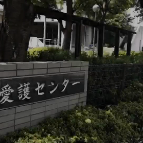 尼崎市動物愛護センター便り☆彡～動画で自己紹介～の画像