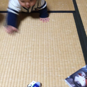 はいはいの画像