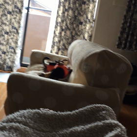 食後習慣の画像