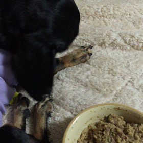 固い意志の画像