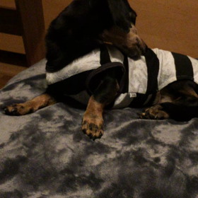 服の上からかいかいかいの画像