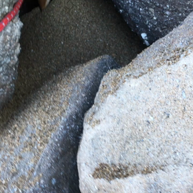 ほりほりの画像