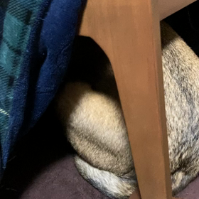 こたつの画像