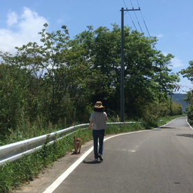 昼散歩の画像