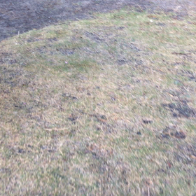 散歩の画像