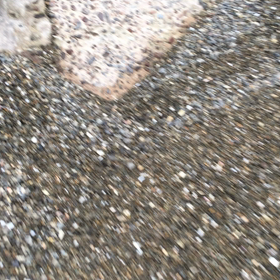 ほりほりの画像