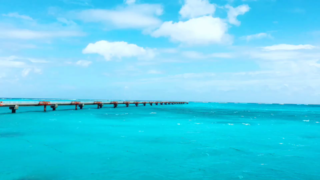 おはよ〜の記事動画