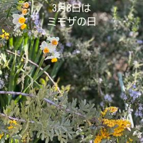 2024/03/08の画像