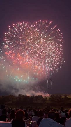 歓声広がる花火大会の記事動画