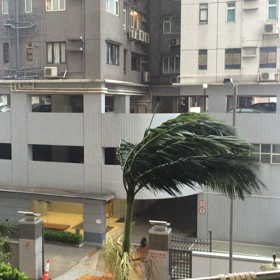 台風 パート2の画像