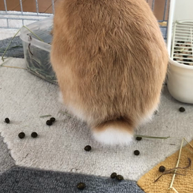 涼しい朝です(^ ^)の画像