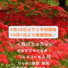 インフルエンザワクチン接種（2026）の画像