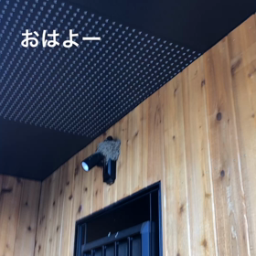 家族╰(*´︶`*)╯♡の画像