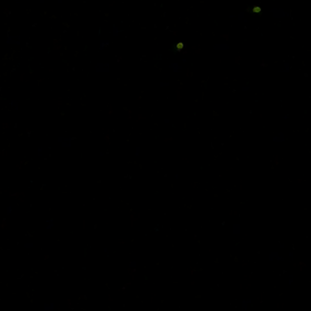飛んでた(⌒▽⌒)の画像