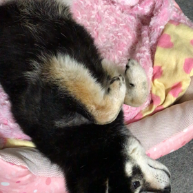 生きてますか？(°д°)の画像