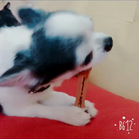 ライくん…の画像