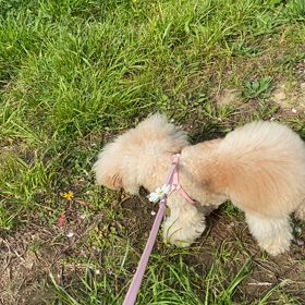 今日はの画像