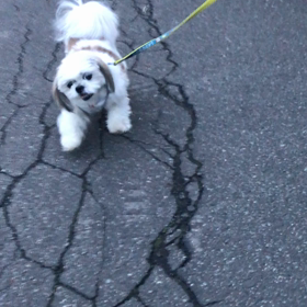 だいぶ良くなりましたの画像