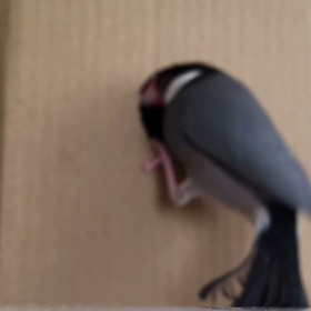 更にの画像