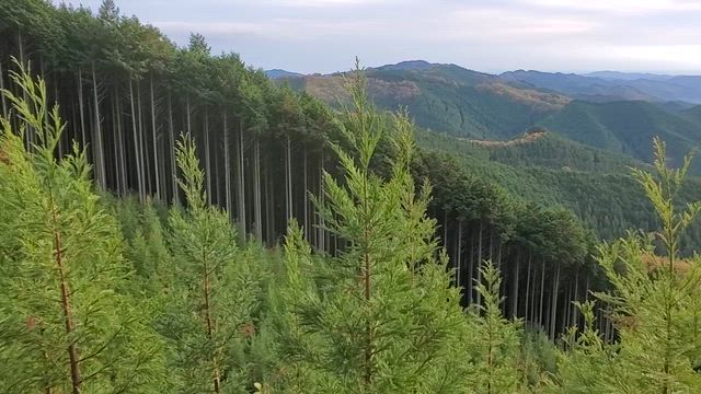 Yamizo Driveの記事動画