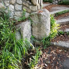 奇跡の画像