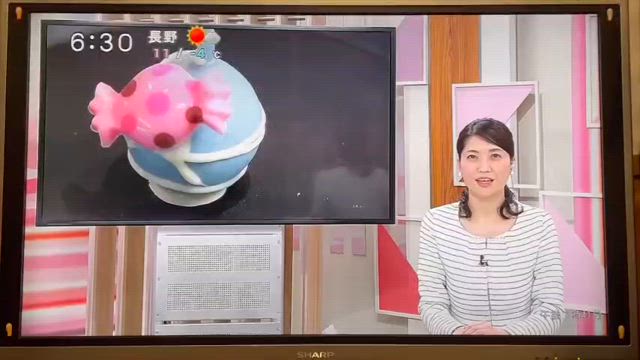 テレビの取材が来た！の記事動画
