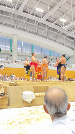 大相撲巡業「龍ヶ崎場所」の記事動画
