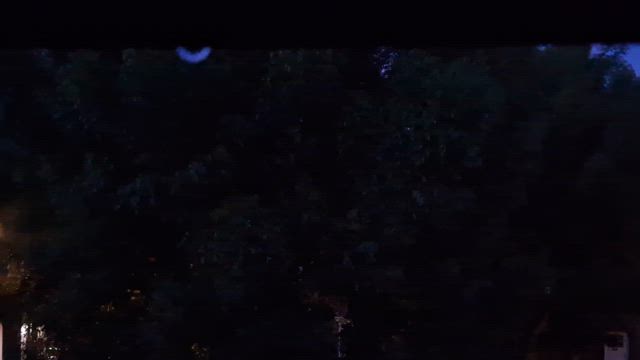 ♡早朝の楽しみ♡  野鳥の記事動画