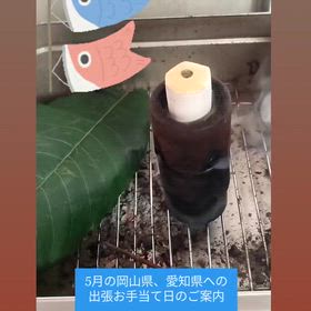 5月の岡山県、愛知県への出張お手当て日のご案内です(* ᴗ͈ˬᴗ͈)”の画像