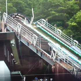 イエロービブはまだまだ遠いの画像