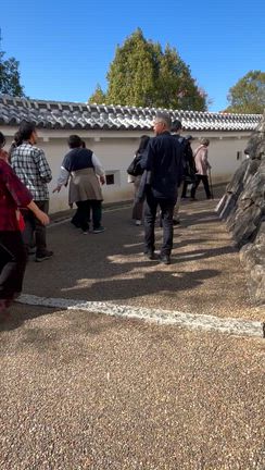 お餅をセーブしたい所存の記事動画