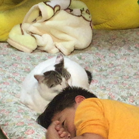 笑笑の画像