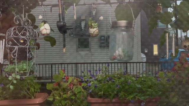 昨日(8/20)のランチの記事動画