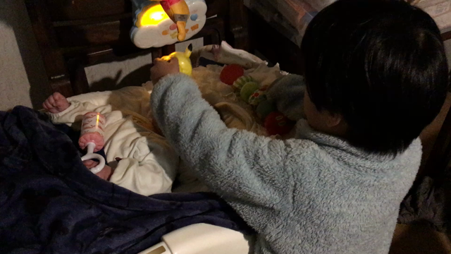 家族が増えました☆*°の記事動画
