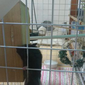 帰れない～の画像