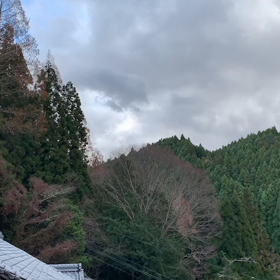 風の強い日の画像