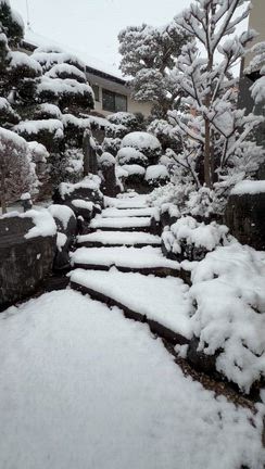 雪景色の記事動画