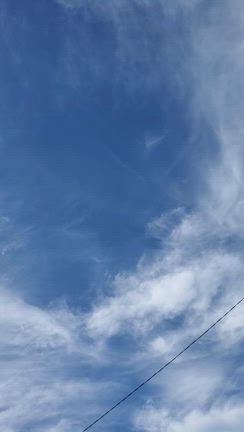 セミの存在感ってすごいな。。❣️の記事動画