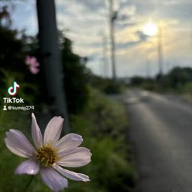 8月　今の所の予定が決まっている部分の画像