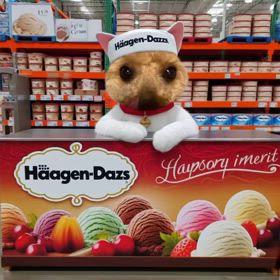 神事とは言え！！の画像