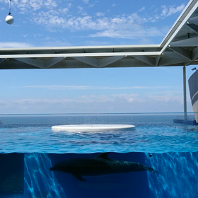 水族館の画像