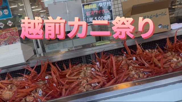越前カニ祭りの記事動画