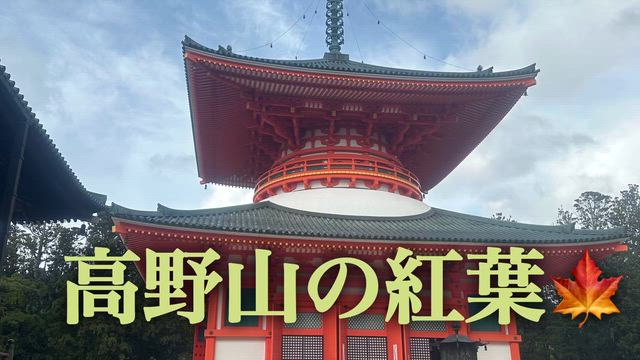 高野山の紅葉の記事動画